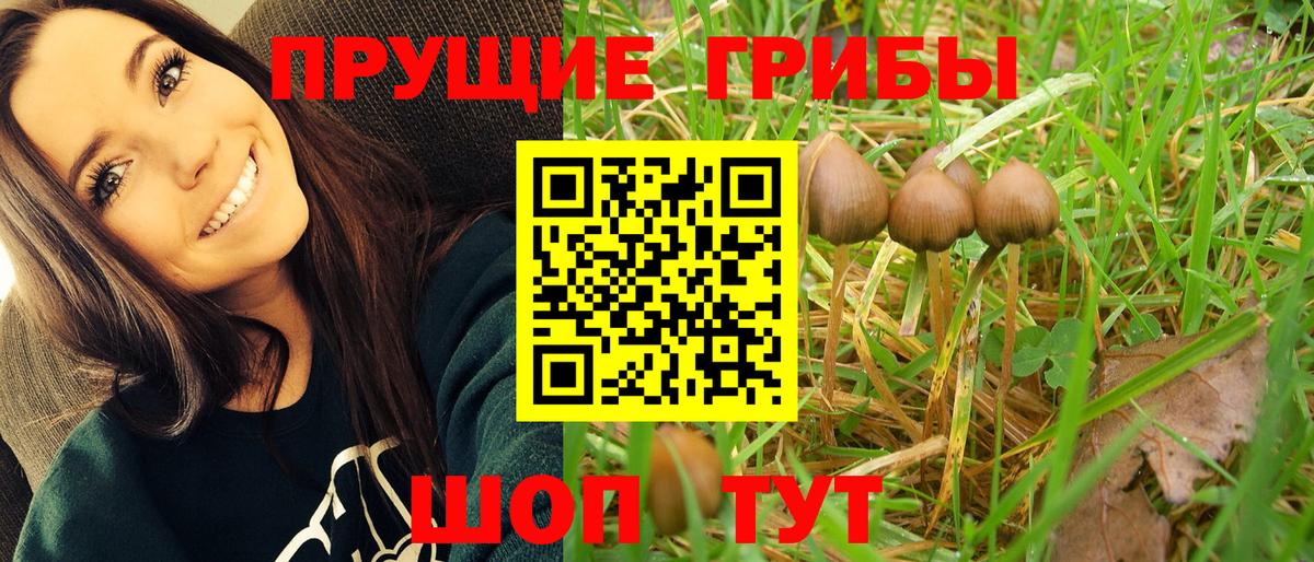 Долгопрудный  Псилоцибиновые грибы мицелий  Вход с VPN  наркота  Галлюциногенные грибы Magic Shrooms 